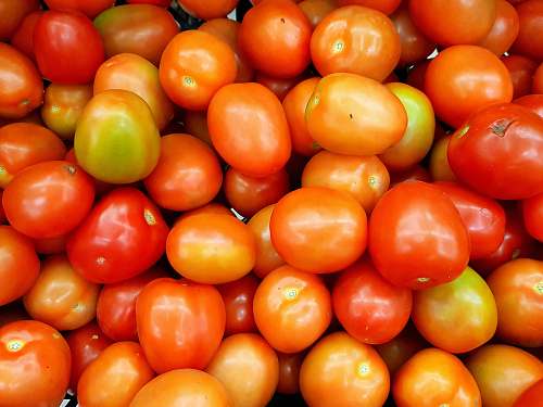 citrus fruit bunch of ripe tomatoes produce